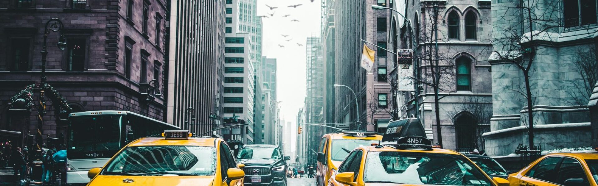 andre-benz-x7DHDky2Jwc-unsplash